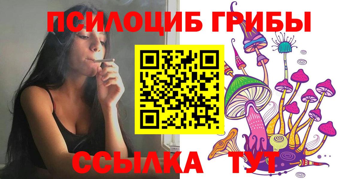 как найти   Вход с VPN  Томск  Псилоцибиновые грибы Magic Shrooms 