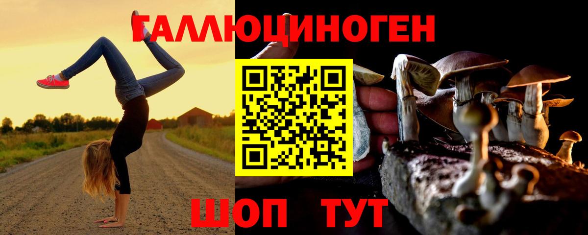 Галлюциногенные грибы Psilocybe Томск